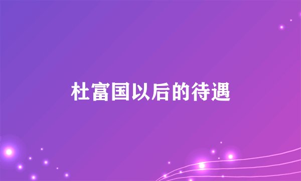 杜富国以后的待遇