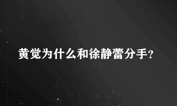 黄觉为什么和徐静蕾分手？