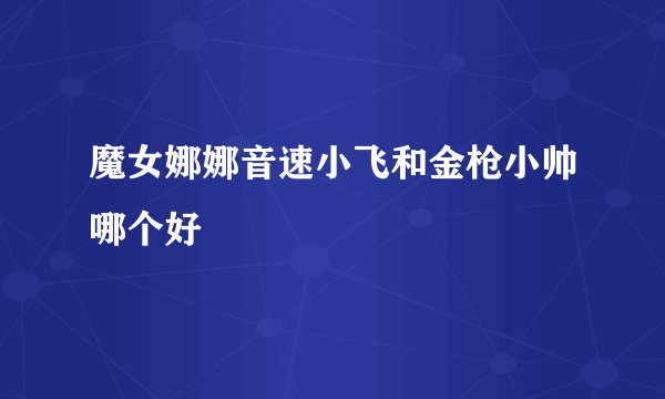 魔女娜娜音速小飞和金枪小帅哪个好