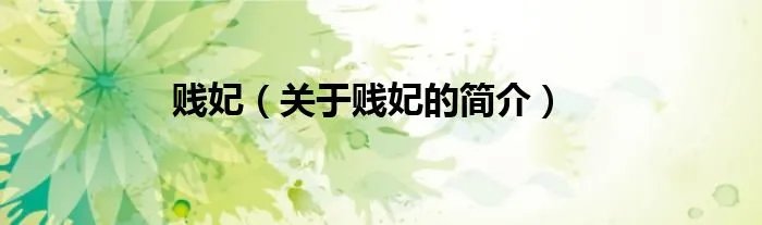 贱妃（关于贱妃的简介）