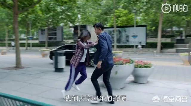 郑爽新剧《青春斗》已经定档,这部新剧都有哪些看点呢?