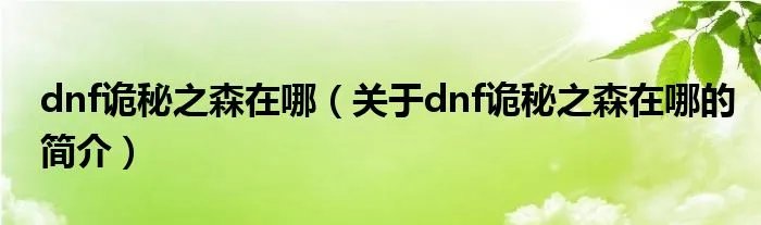 dnf诡秘之森在哪(关于dnf诡秘之森在哪的简介)