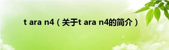 t ara n4（关于t ara n4的简介）