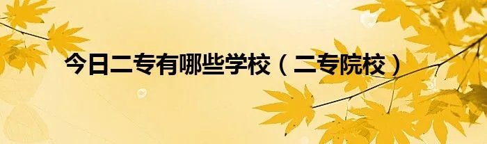 今日二专有哪些学校（二专院校）