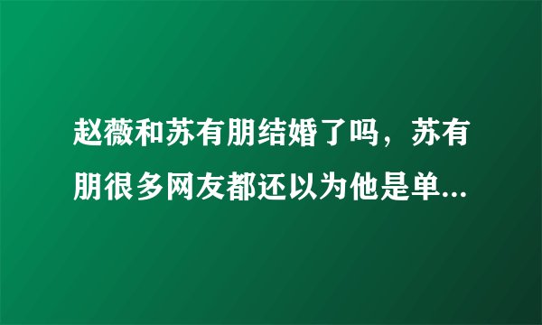 赵薇和苏有朋结婚了吗，苏有朋很多网友都还以为他是单身状态-飞外网