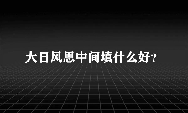 大日风思中间填什么好？
