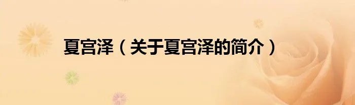 夏宫泽（关于夏宫泽的简介）