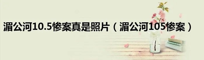 湄公河10.5惨案真是照片(湄公河105惨案)