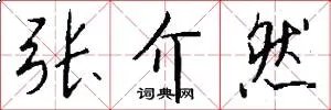 张介然