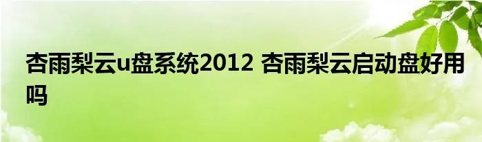 杏雨梨云u盘系统2012 杏雨梨云启动盘好用吗