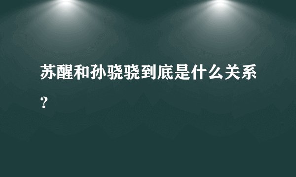 苏醒和孙骁骁到底是什么关系？