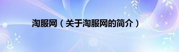 淘服网（关于淘服网的简介）