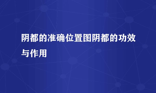阴都的准确位置图阴都的功效与作用