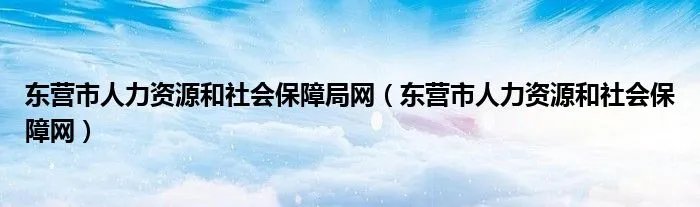 东营市人力资源和社会保障局网(东营市人力资源和社会保障网)