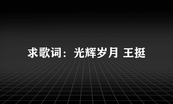 求歌词：光辉岁月 王挺