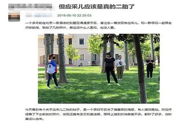 应采儿疑似怀二胎是真的吗:为什么说应采儿怀二胎