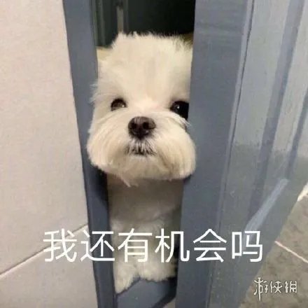 ofo仍在自动续费怎么回事 ofo仍在自动续费原因介绍