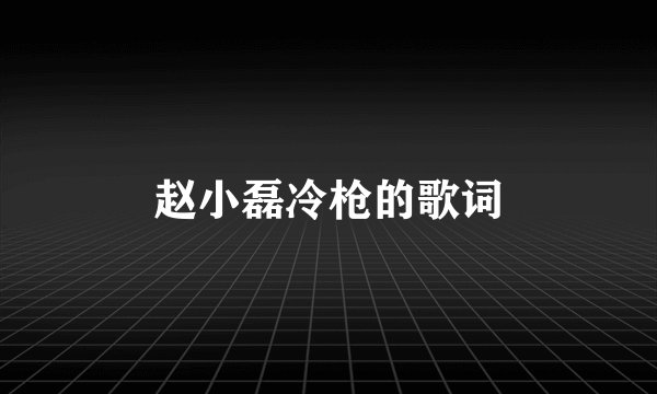 赵小磊冷枪的歌词