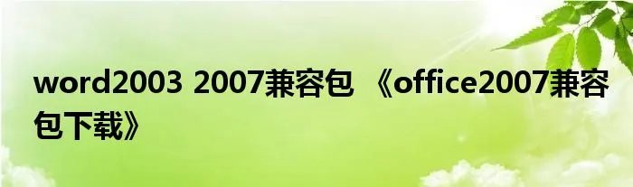 word2003 2007兼容包 《office2007兼容包下载》