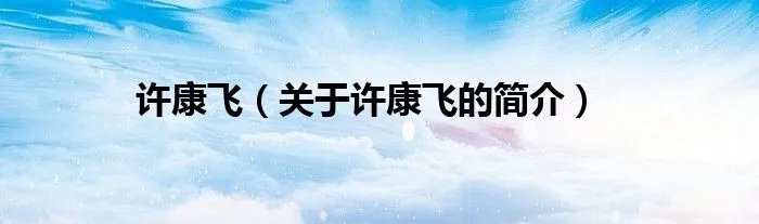 许康飞（关于许康飞的简介）
