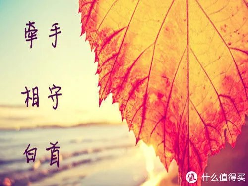 索尼耳放