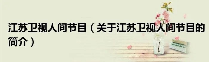 江苏卫视人间节目（关于江苏卫视人间节目的简介）