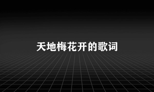 天地梅花开的歌词