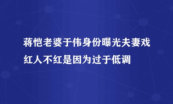 蒋恺老婆于伟身份曝光夫妻戏红人不红是因为过于低调