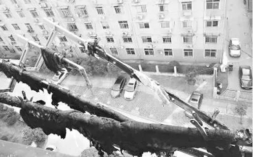 高空烟头点燃小区画面:具体经过详情结果怎样