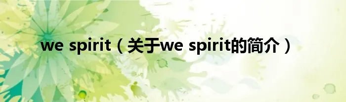 we spirit（关于we spirit的简介）
