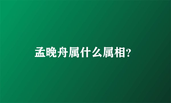 孟晚舟属什么属相？