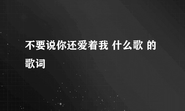 不要说你还爱着我 什么歌 的歌词