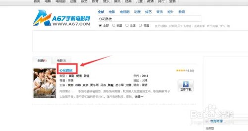 心花路放完整高清版 免费在线观看