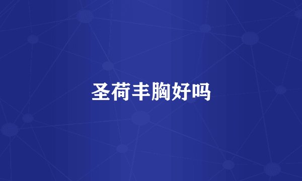 圣荷丰胸好吗