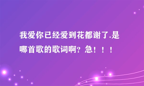 我爱你已经爱到花都谢了.是哪首歌的歌词啊?急!!!
