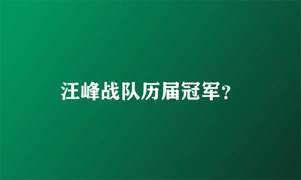 汪峰战队历届冠军？
