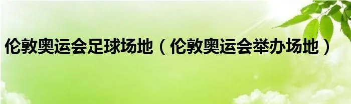 伦敦奥运会足球场地（伦敦奥运会举办场地）