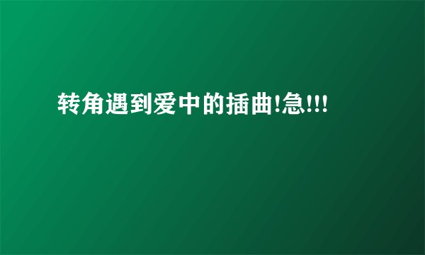 转角遇到爱中的插曲!急!!!