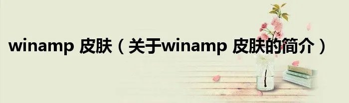 winamp 皮肤（关于winamp 皮肤的简介）