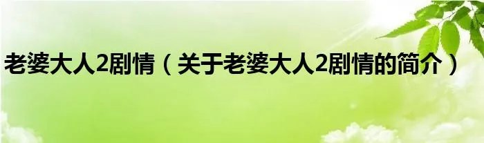 老婆大人2剧情（关于老婆大人2剧情的简介）