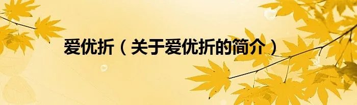 爱优折（关于爱优折的简介）