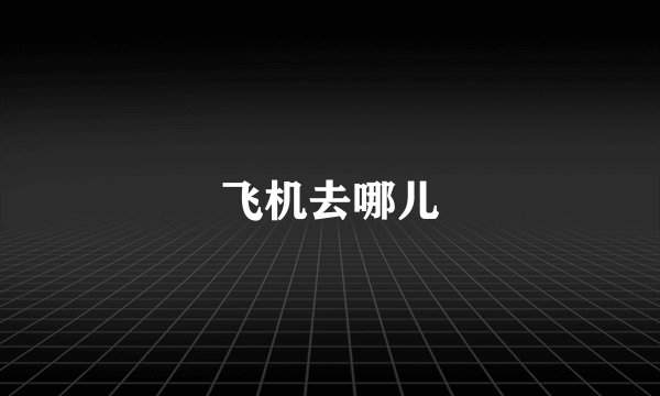 飞机去哪儿