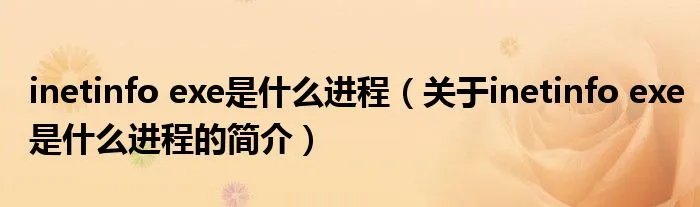 inetinfo exe是什么进程(关于inetinfo exe是什么进程的简介)