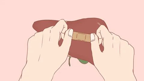 人体最大的解毒器官是哪一个