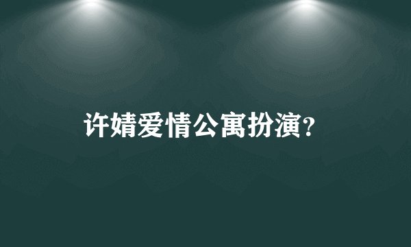 许婧爱情公寓扮演？