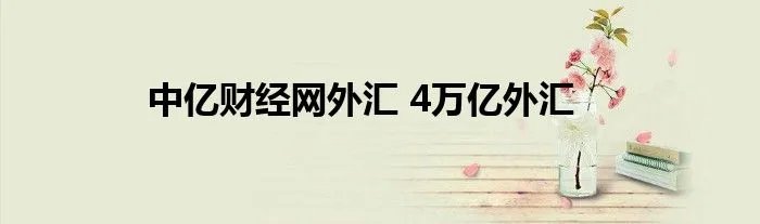 中亿财经网外汇 4万亿外汇