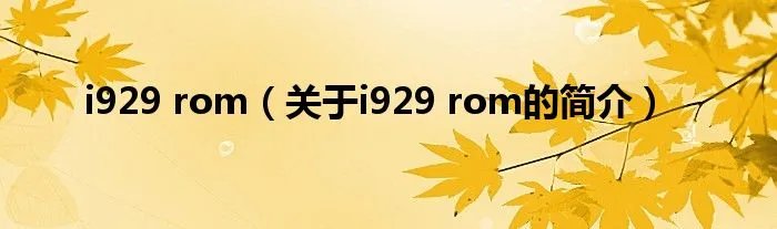 i929 rom（关于i929 rom的简介）