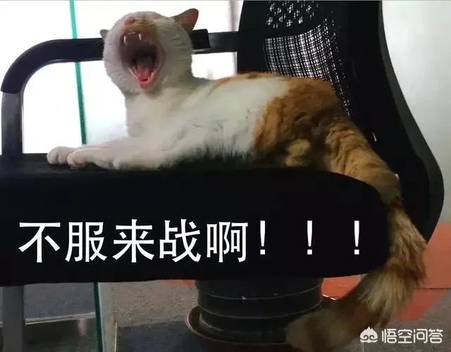 哪里的美术画室比较好?