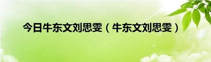 今日牛东文刘思雯（牛东文刘思雯）