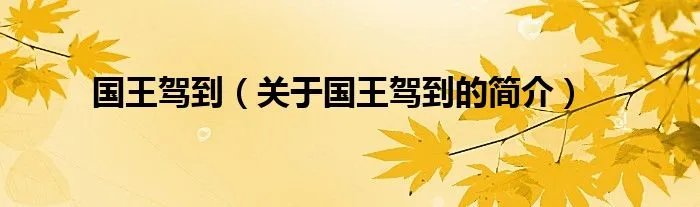 国王驾到（关于国王驾到的简介）